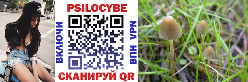 купить закладку  Ишимбай  Псилоцибиновые грибы GOLDEN TEACHER 