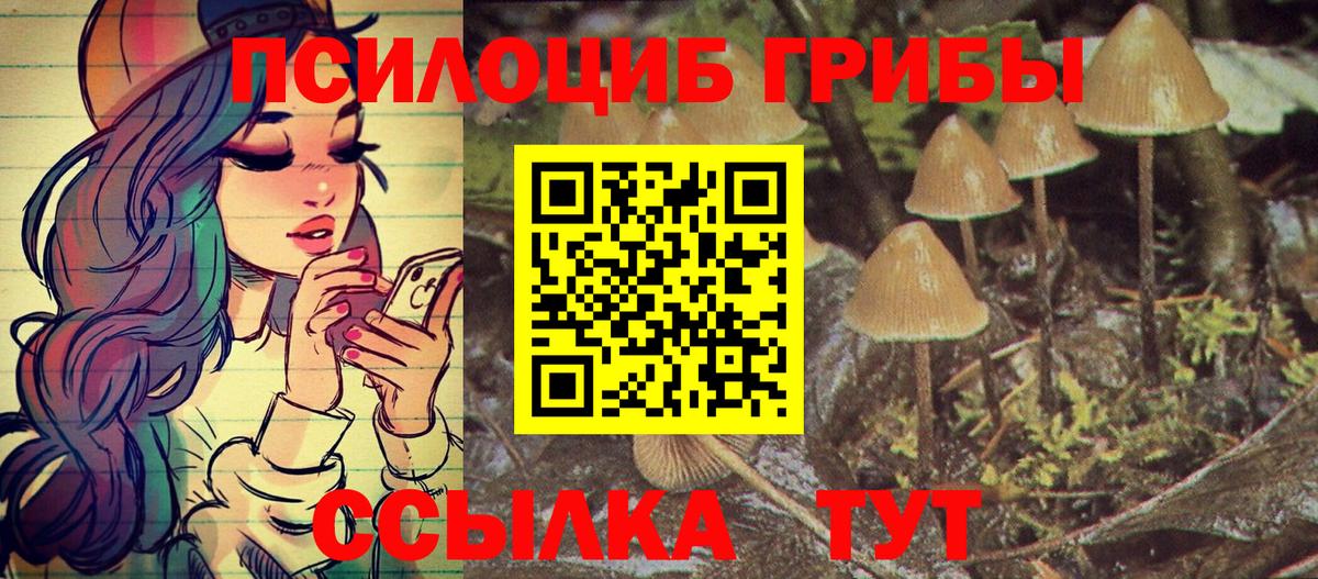 Галлюциногенные грибы мицелий Ишимбай