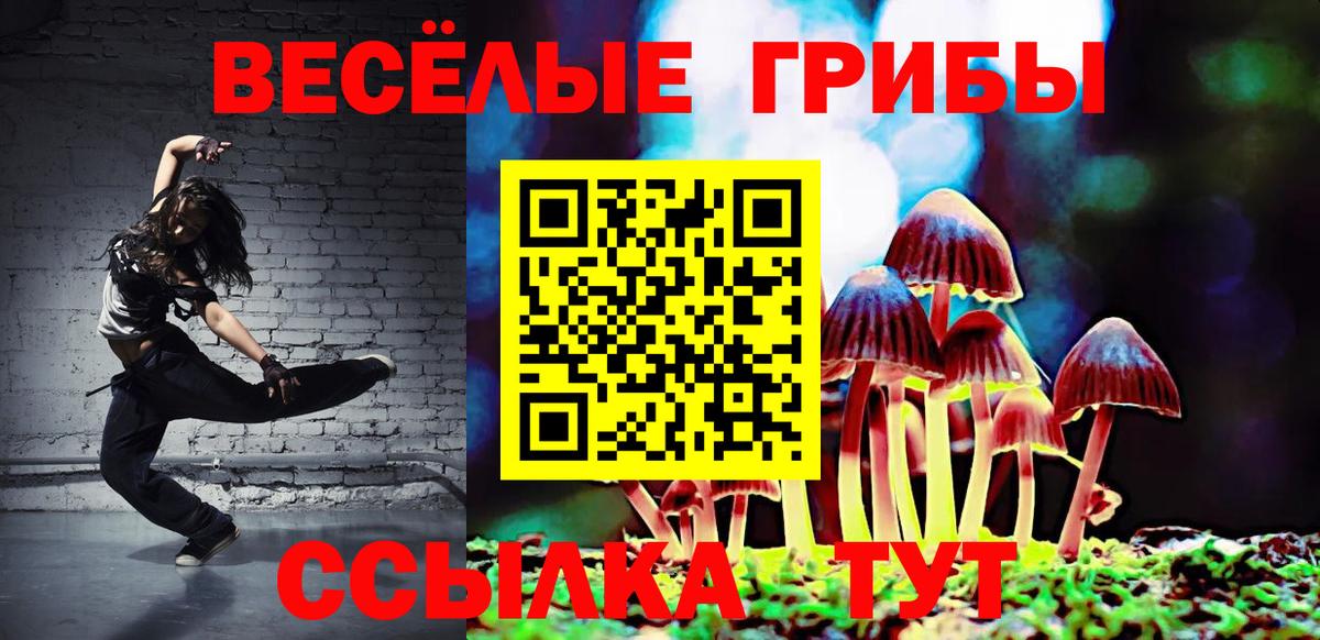 Галлюциногенные грибы ЛСД Ишимбай