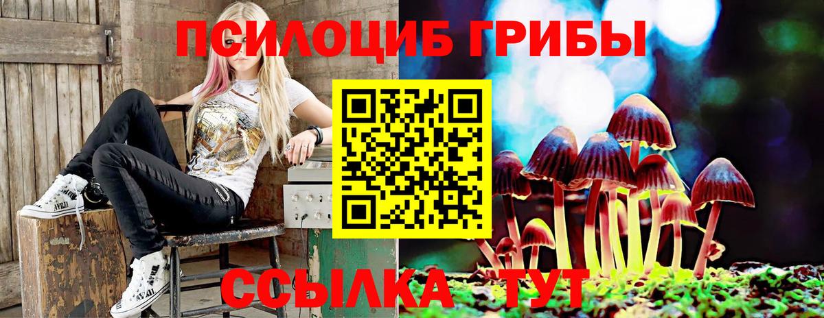 Псилоцибиновые грибы Cubensis  Ишимбай 