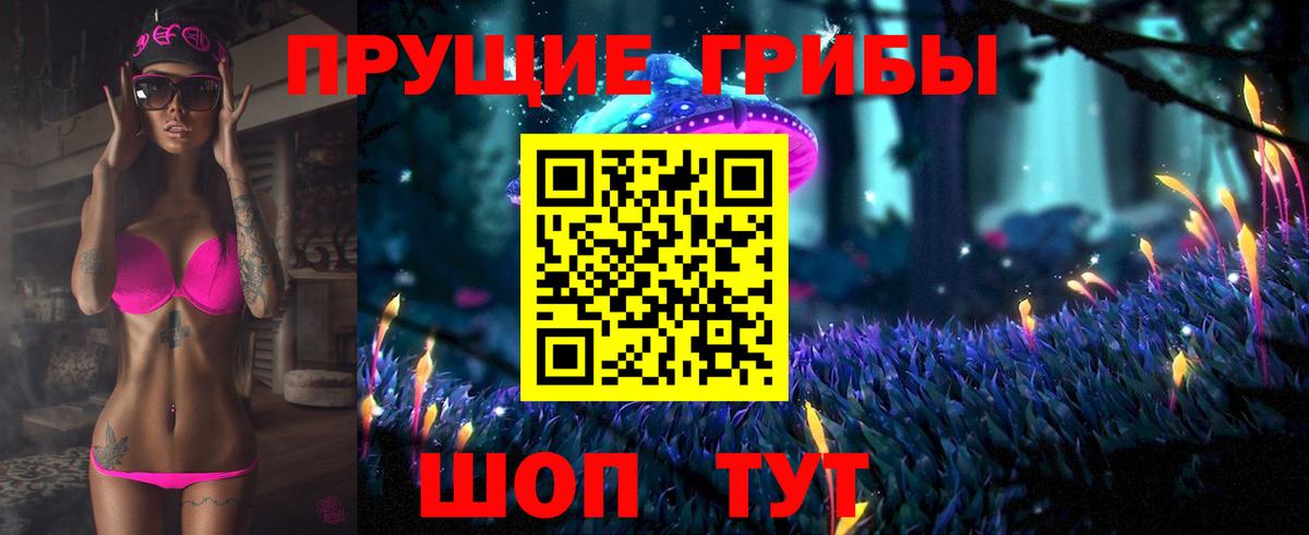 Галлюциногенные грибы Psilocybine cubensis  Вход с VPN  Ишимбай 